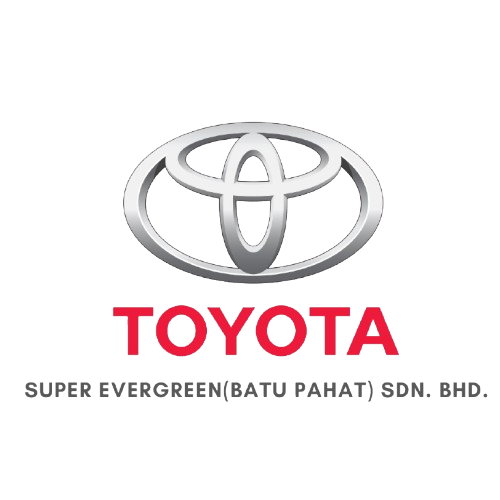 panel klinik super evergreen